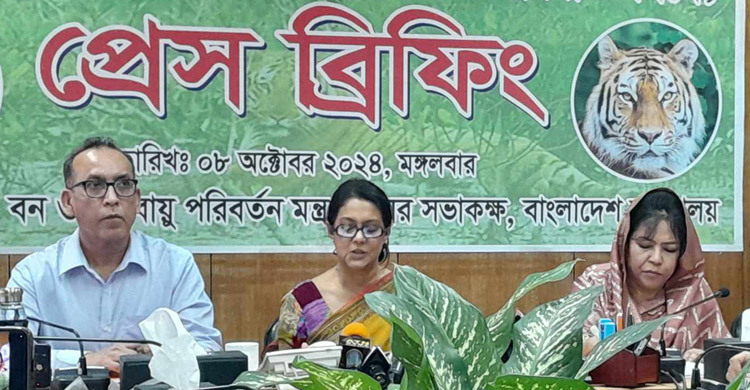 Sundarbans tiger population increases by 11