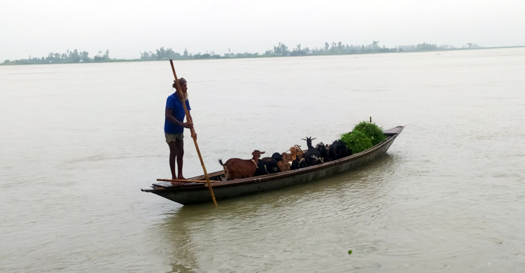তিস্তায় পানি কমায় স্বস্তি