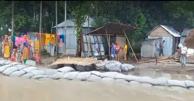 কমছে তিস্তার পানি, বাড়ছে ভাঙন