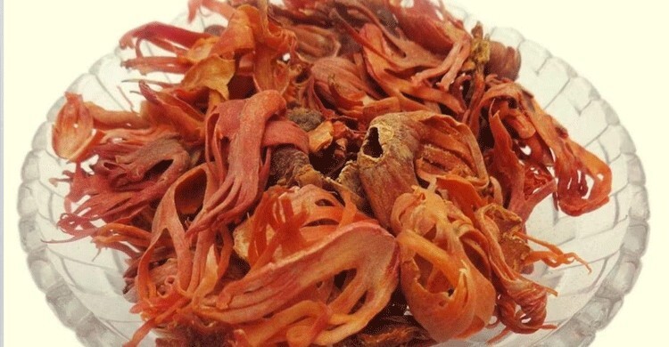 নারীদের যে কারণে জয়ত্রী খাওয়া ভালো