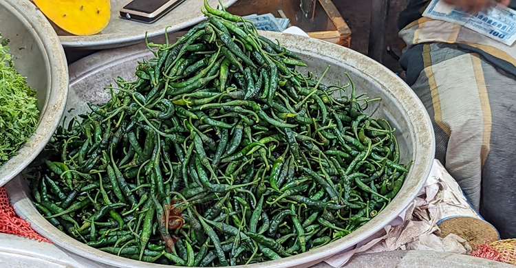 প্রতিপিস কাঁচামরিচ ১ টাকা