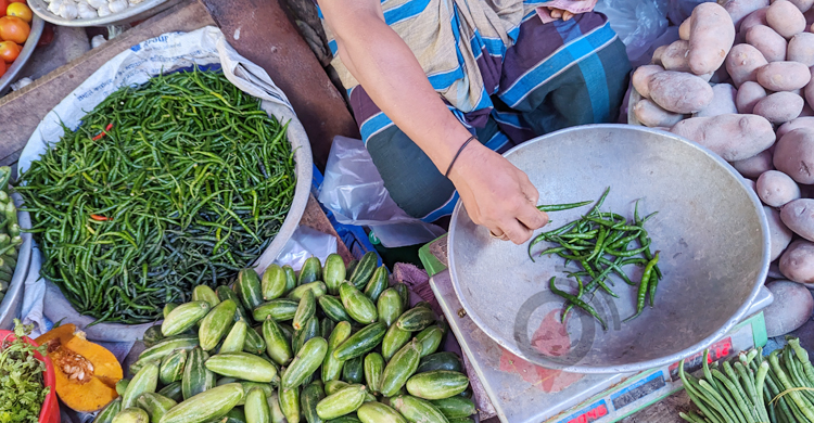 প্রতিপিস কাঁচামরিচ ১ টাকা