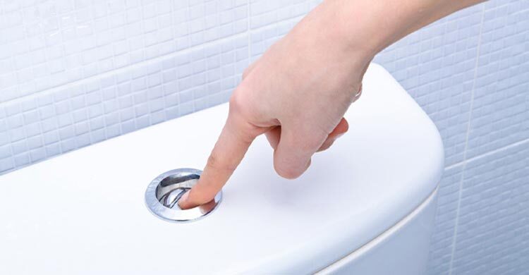 টয়লেট ফ্লাশ করার সঠিক নিয়ম, যা জানলে সুস্থ থাকবেন