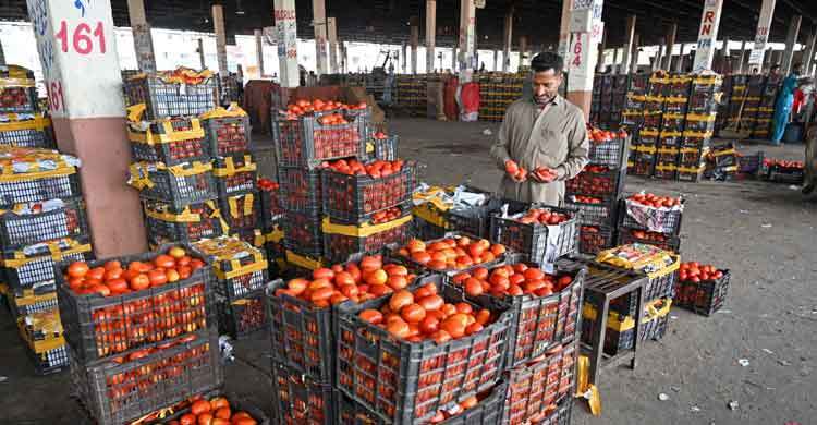 আফগান সীমান্ত বন্ধ থাকায় পাকিস্তানে টমেটোর দাম বেড়ে কেজিপ্রতি ৬০০ রুপি