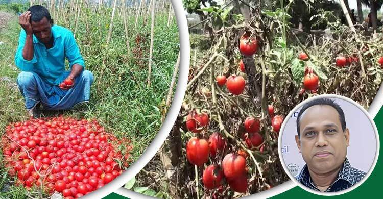 কৃষিভিত্তিক শিল্পের অভাবে বঞ্চিত কৃষক