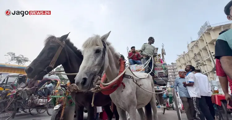 পুরান ঢাকায় এখনো ঘোড়ার গাড়ি চলাচল করে, ছবি: জাগো নিউজ
