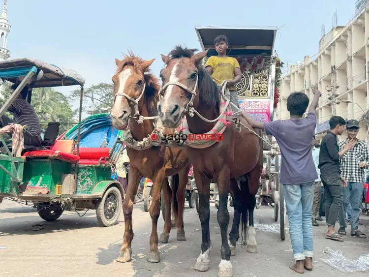 রাজধানীর গুলিস্তানে যাত্রীদের অপেক্ষায় ঘোড়ার গাড়ি, ছবি: জাগো নিউজ