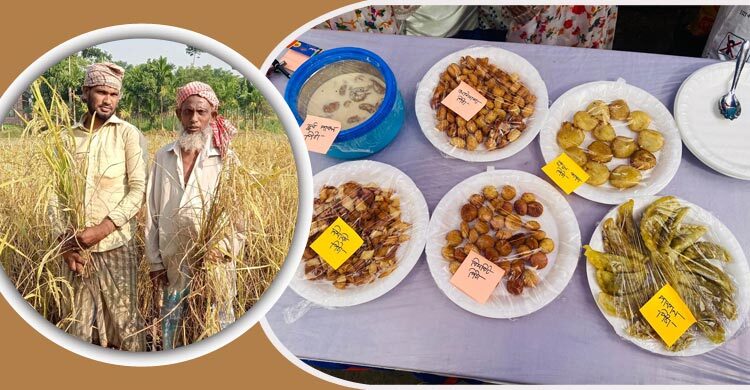 নবান্ন উৎসবের আমেজ মাগুরার ঘরে ঘরে