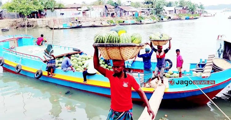 তরমুজের খোসায় নতুন সম্ভাবনা, খাদ্য থেকে হতে পারে আয়ের উৎস