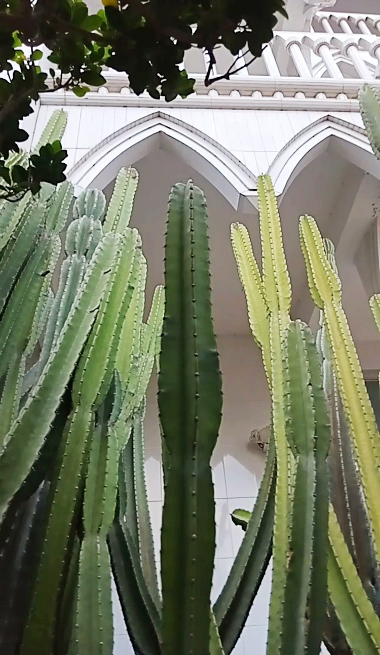 খুলনার দারুল উলুম মসজিদে একটি বিকেল