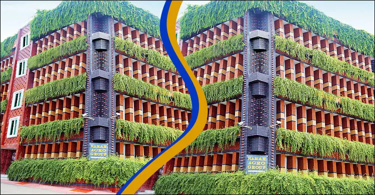 ইট-পাথরের শহরে এক খণ্ড সবুজ আঙিনা