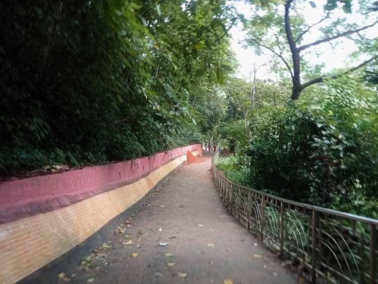 মোহনীয় আবেশ ছড়ালো মাধবকুণ্ড জলপ্রপাত