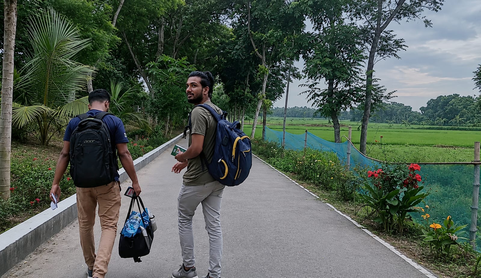train