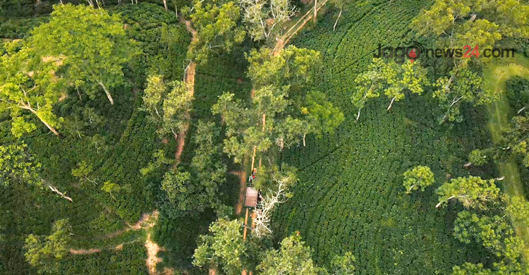 টেকসই পর্যটনের নতুন দিগন্ত টি-ট্যুরিজম