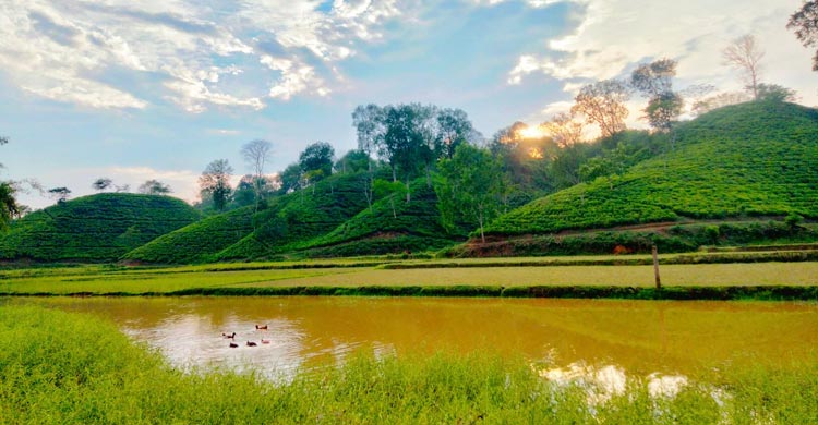 এবার পবিত্র ঈদুল আজহায় মিলছে লম্বা ছুটি। এ উপলক্ষে পর্যটকদের জন্য প্রস্তুত করা হয়েছে মৌলভীবাজার