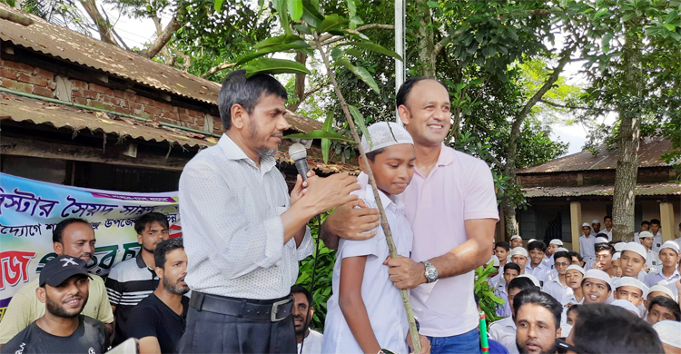 ব্যারিস্টার সুমনের উদ্যোগে ৫ শতাধিক আমের চারা বিতরণ