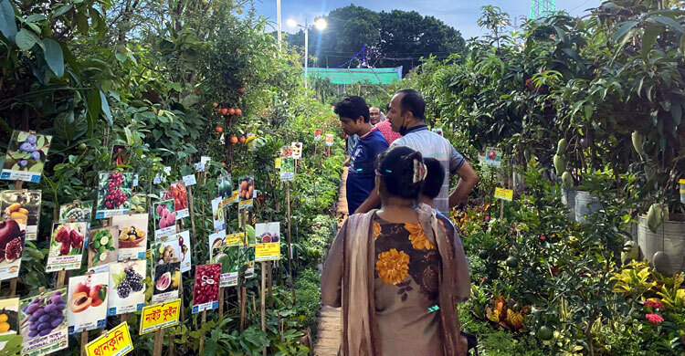 বৃক্ষের টানে মেলায়, ছাদবাগানের গাছে আগ্রহ বেশি ক্রেতাদের