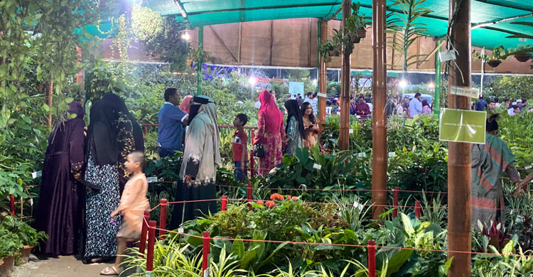 বৃক্ষের টানে মেলায়, ছাদবাগানের গাছে আগ্রহ বেশি ক্রেতাদের