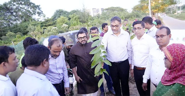 দিয়াবাড়িতে ১৬০০ গাছ লাগিয়েছে উত্তর সিটি