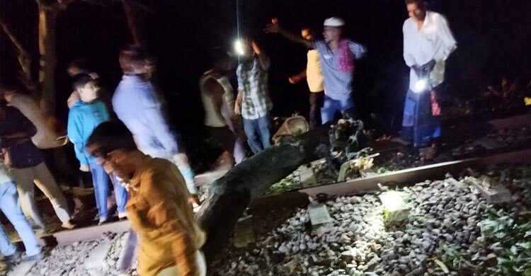 রেললাইনে উপড়ে পড়লো গাছ, অল্পের জন্য রক্ষা পেলো চট্টলা এক্সপ্রেস