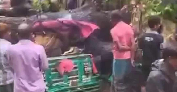 Woman injured as tree falls on vehicles during rain in dhanmondi