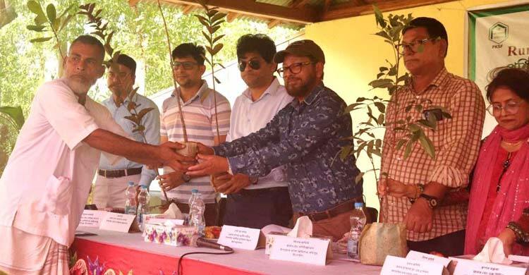 সখীপুরে তালিম ঘরে চারা বিতরণ ও আধুনিক চাষের প্রশিক্ষণ অনুষ্ঠিত