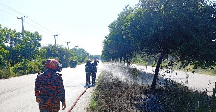 ঢাকা-চট্টগ্রাম মহাসড়ক বিভাজকের অর্ধশত বকুল গাছে আগুন