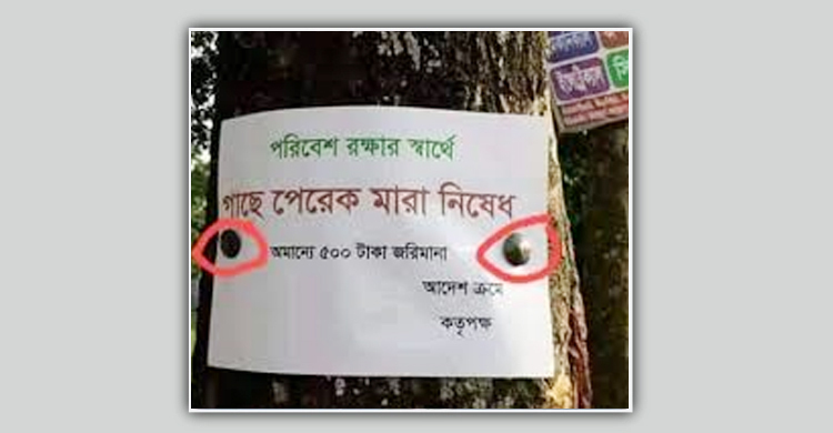 গাছে পেরেক লাগালে ২০ হাজার টাকা জরিমানা