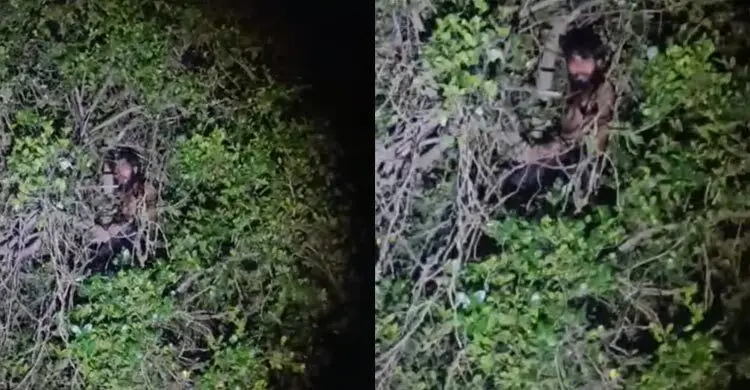 ‘৩ সেকেন্ডে’ ৩০ ফুট গাছের মগডালে যুবক, নামানো হলো আজান দিয়ে