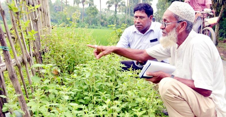 ‘কাদের ভাই’য়ের ভেষজ বিপ্লব