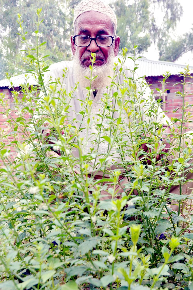‘কাদের ভাই’য়ের ভেষজ বিপ্লব
