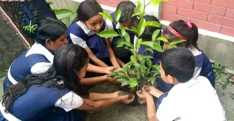 গাছের চারা কিনতে ৫ হাজার করে টাকা পেল সব শিক্ষাপ্রতিষ্ঠান