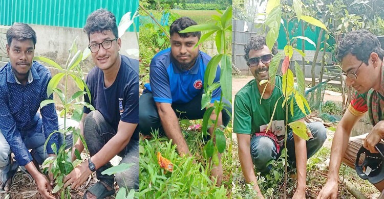 বিপন্ন শালবনে তারুণ্যের বৃক্ষরোপণ অভিযান