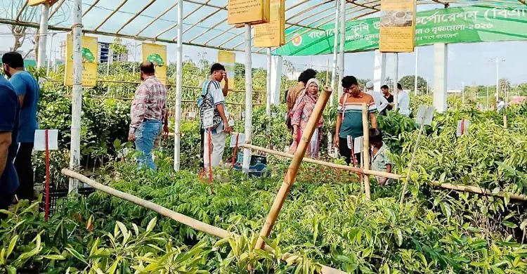 বৃক্ষমেলায় খুঁজে নিন আপনার পছন্দের গাছ