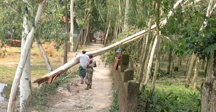 লালমনিরহাটে দুই দফা ঝড়ে ব্যাপক ক্ষয়ক্ষতি