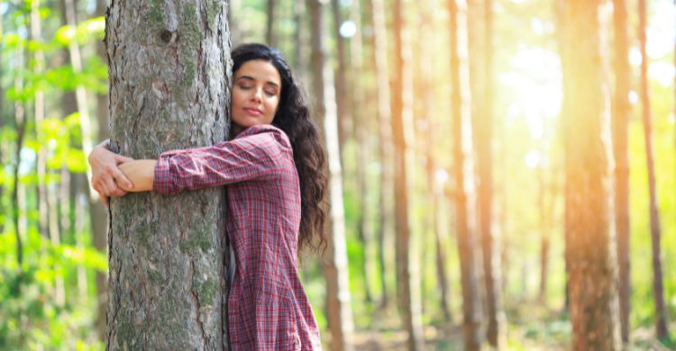 গাছ কমাতে পারে আপনার মানসিক চাপ