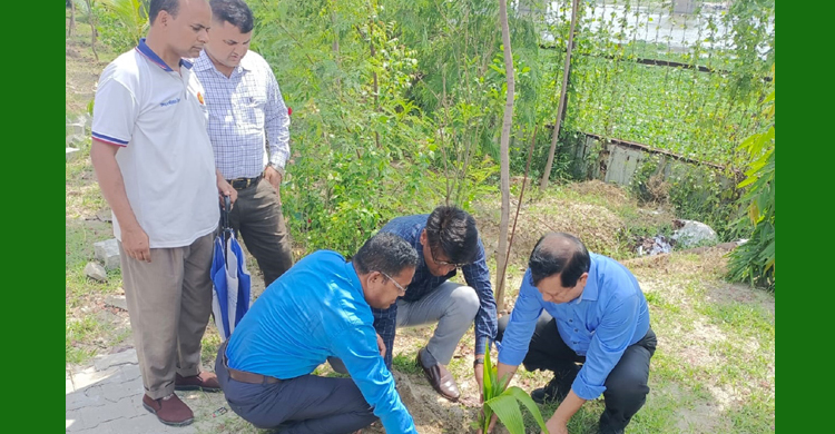 PRAN-RFL Group, BIWTA jointly organize tree plantation in Gazipur