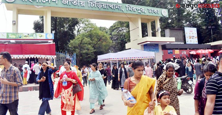 ‘ডোনাল্ড ট্রাম্প’ মহিষটি কি আসলেই বিরল প্রজাতির?