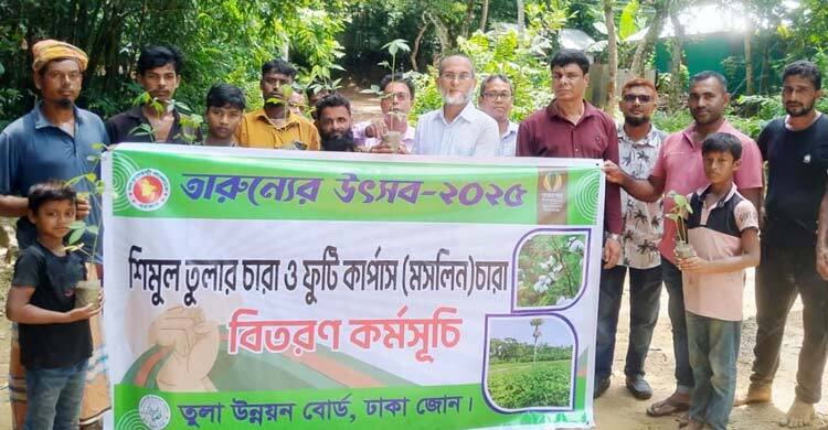 কুমিল্লায় প্রথমবারের মতো শুরু হয়েছে তুলা চাষ