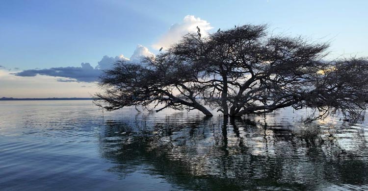  মরুর হৃদয়ে নীল বিস্ময়
