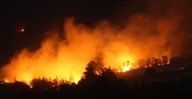 তুরস্কের উত্তর-পশ্চিমাঞ্চলে ছড়িয়ে পড়েছে দাবানল