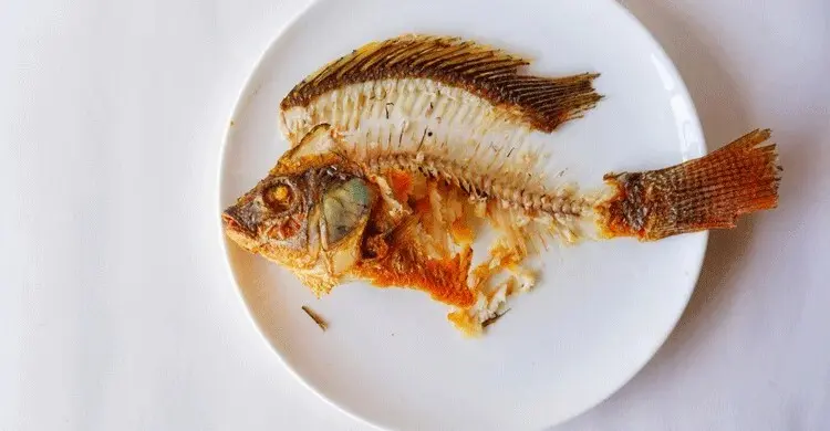 মাছের কাঁটা খেলে শরীরে কী ঘটে