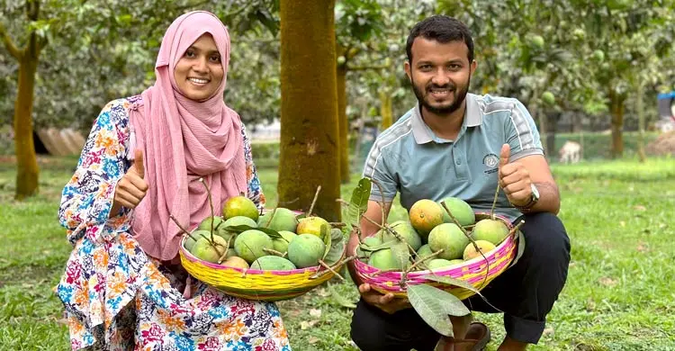 অনলাইনে বাড়ছে ফল বিক্রির জনপ্রিয়তা, বাড়ছে কর্মসংস্থান
