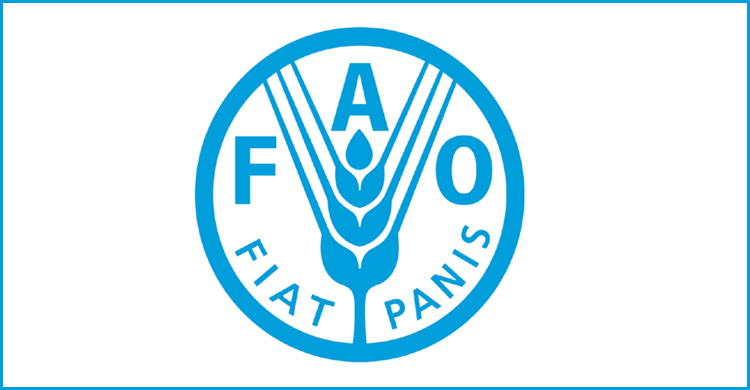 বাংলাদেশ জাতিসংঘের খাদ্য ও কৃষি সংস্থার কাউন্সিল সদস্য নির্বাচিত