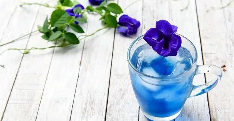 যেভাবে তৈরি করবেন অপরাজিতা চা