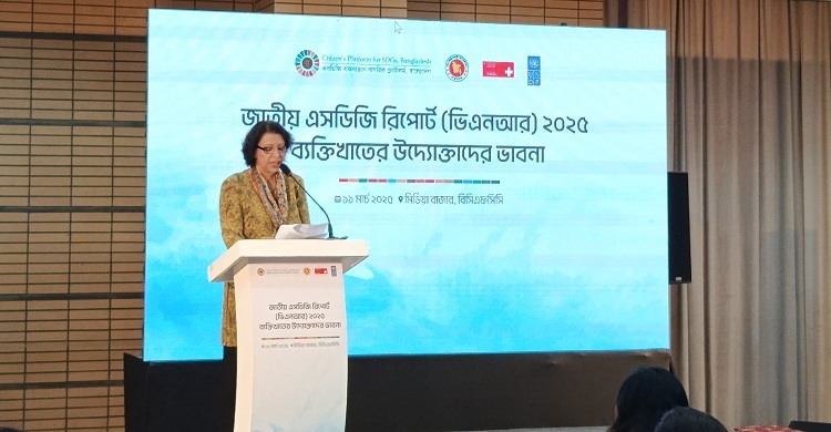 এসডিজি লক্ষ্য পূরণে বেসরকারি তথ্য শেয়ারিং প্ল্যাটফর্ম গঠনের তাগিদ