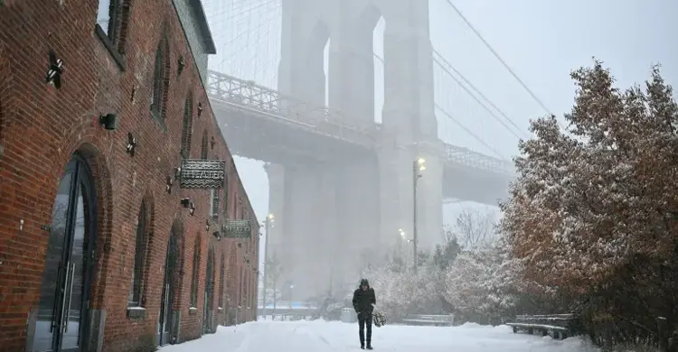 যুক্তরাষ্ট্রে শীতকালীন ঝড়ে ৩০ জনের মৃত্যু, হাজারো ফ্লাইট বাতিল
