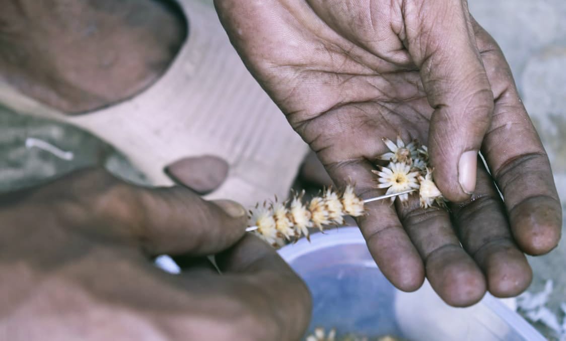 টিএসসি আর শাহবাগের অজানা শ্রমগাথা