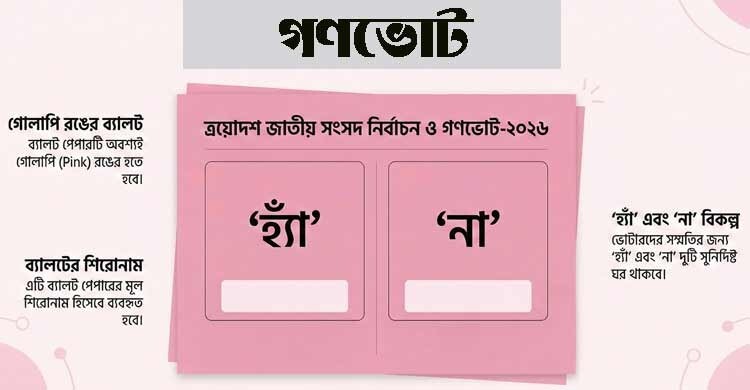 গণভোট কেন, কীভাবে দেবেন?