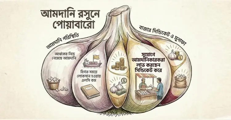 রসুন আমদানিতে এত লাভ!